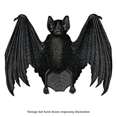 Vintage Engraving Bat Illustration - Hand Drawn Bat Clipart for Halloween, Gothic Decor, and Nature Projects