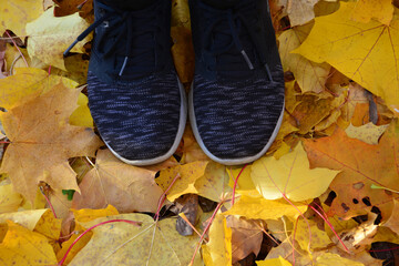 Sneakers Standing on a Pile of Autumn Leaves