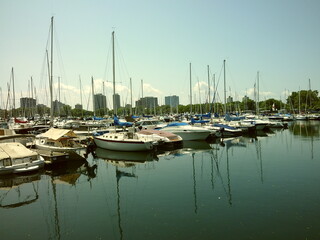 boats in marina