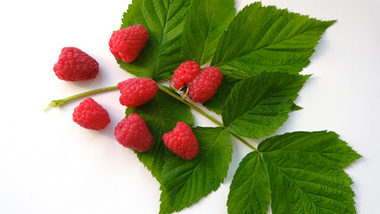 raspberries with leaves