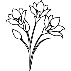 Black and White Line Art Freesia Flower Cluster Side View Botanical Illustration