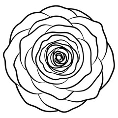 Black and White Line Art Ranunculus Bloom Circular Pattern