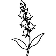 Black and White Snapdragon Flower Botanical Vector Illustration 1