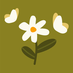 daisy and butterflies on olive green background