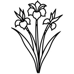 Black Line Art Iris Flower Bouquet Botanical Composition