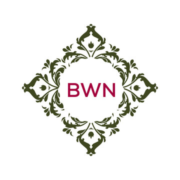 Letter BWN logo design template