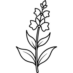 Black Line Art Snapdragon Flower Vertical Botanical Illustration