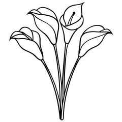 Black Line Drawing Four Calla Lilies Cluster calla lily