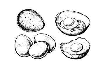 Eggs Vector Engraving Set. Detailed Monochrome Illustrations of Breakfast Food. Vintage Engraving Style