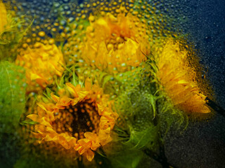 A bouquet of sunflowers with green leaves and wet glass. The flowers are yellow and have a bright, cheerful appearance. The arrangement is full and lively, giving off a sense of warmth and happiness