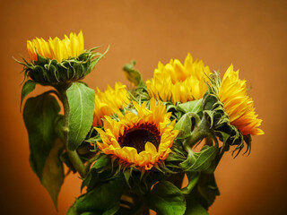 A bouquet of sunflowers with green leaves. The flowers are yellow and have a bright, cheerful appearance. The arrangement is full and lively, giving off a sense of warmth and happiness. 