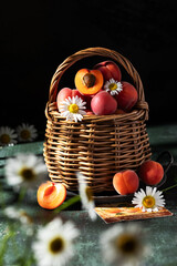Still life with ripe yellow and red apricots in a wicker basket decorated with daisies. Summer mood. Seasonal fruits. Rustic style