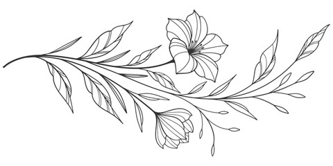 flower and leaves drawing. Vector hand drawn engraved floral card. Botanical, branch and flower Black ink sketch. Great for tattoo, invitations, greeting cards, decor