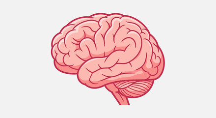 Detailed Illustration of a Human Brain, Pink and Red Hues, Side View