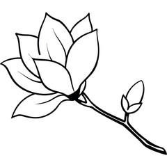 Side View Magnolia Blossom Black Line Art Flower Bud Branch