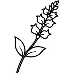 Single Snapdragon Branch Black Line Art Illustration