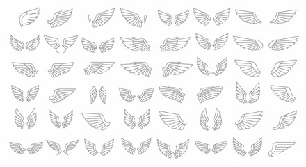 Collection of Various Detailed Wing Designs in Light Gray Outline