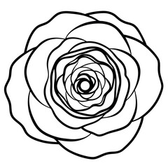Top Down View Black Line Art Ranunculus Flower Petals