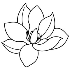 Top View Open Magnolia Blossom Black Line Art Illustration