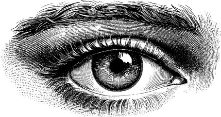 Fototapeta premium Intricate abstract eye with sparkle details in vintage engraving style