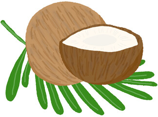 코코넛 열대과일 일러스트