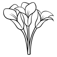 Black and White Calla Lily Line Art Bouquet lilies