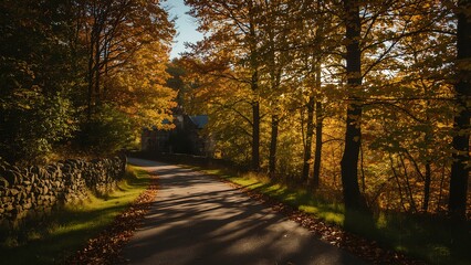 Naklejka premium autumn forest