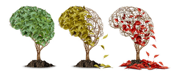 Dementia And Memory Loss as a Brain atrophy concept and cognitive decline or neurological aging as losing memory and neurodegeneration in mental health and neuroscience concepts as Alzheimers.