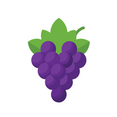 Vector of a bunch of grapes isolated on white