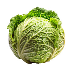 Fototapeta premium cabbage isolated on transparent background