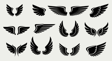 Collection of Decorative Black Wings in Various Poses