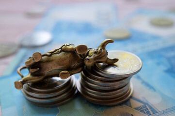 A bull statuette with coins and banknotes. Financial success.