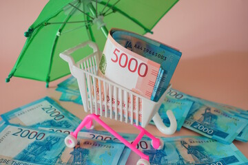 A toy shopping basket with money and an umbrella. Finance and economics.