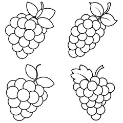 Naklejka premium Grapes Icon – Fresh Fruit Line Art, Outline Vector Illustration