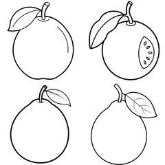 Obraz premium Guava Icon – Tropical Fruit Line Art, Outline Vector Illustration