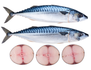 Set of Raw Indian Mackerel: Whole, Headless, and Sliced, Transparent PNG