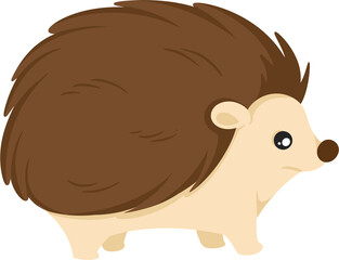 illustration hedgehog