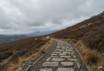 Through Barren Landscape Under Overcast Sky
