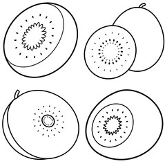 Naklejka premium Kiwi Fruit Icon – Tropical Fruit Line Art, Outline Vector Illustration