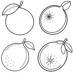 Obraz premium Lime Icon – Citrus Fruit Line Art, Outline Vector Illustration