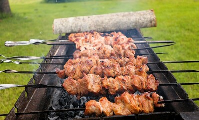 Juicy pork skewers roasting on metal sticks over hot charcoal in a rustic outdoor grill. Traditional countryside barbecue setup with smoke and sizzling meat.