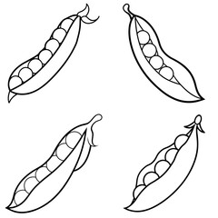 Obraz premium Peas in a Pod Icon – Fresh Vegetable Line Art, Outline Vector Illustration
