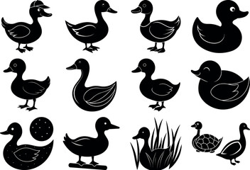 Photo of collection of black duck silhouettes isolated on transparent background
