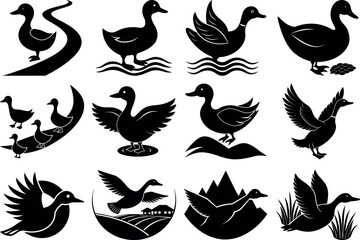 Photo of silhouetted ducks in various scenes isolated on transparent background