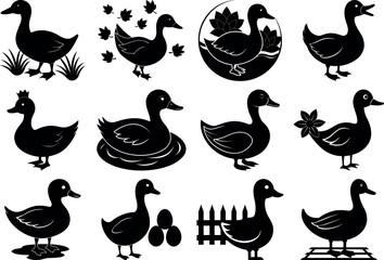 Photo of set of duck silhouettes isolated on transparent background