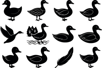 Photo of duck silhouettes in various poses isolated on transparent background