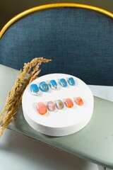 Press On Nail Design model beauty cosmetic fake nail Art stylish