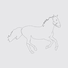 Doodle horse cartoon doodle black and white