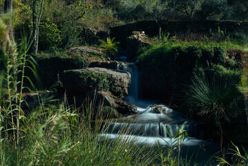 Tiny waterfall, embraced by greenery, with a silky water effect.