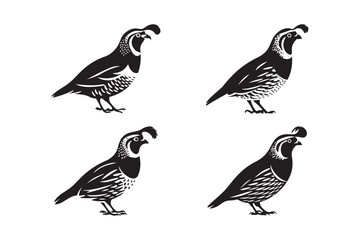 Stylized black and white silhouettes of quail birds